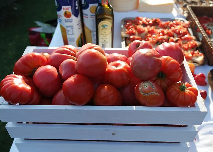 Agostoli シエーナ