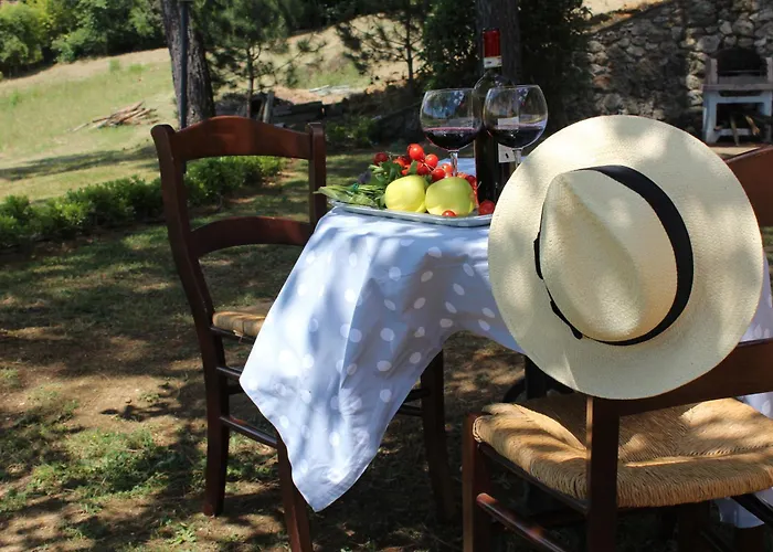 阿格斯图利别墅酒店 农家乐